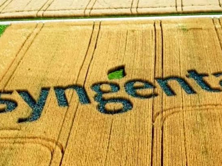 Syngenta – campo experimental