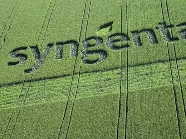 Syngenta – lavoura